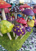 Shroom Closup Bloom